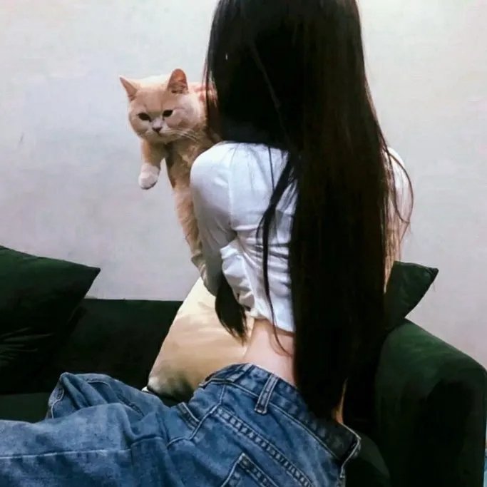 新楚留香
